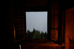 PNG-Bild-6